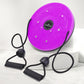 Magnet Waist Twisting Disc Fitness Balance Board for Weight Loss